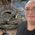 Je l' moguće da to radi 60. put?! Čuveni zmijolovac Vladica sve iznenadio potezom, ovo je on kad ne hvata zmije