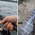 Urnebesan snimak sa Dunava: Srbin napravio pecaljku od grane, pa izvukao grdosiju, poslao važnu poruku