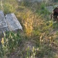 Kako JKP Šumadija brine o VAROŠKOM GROBLJU? Projekat "Korov" uspeo, ocena za održavanje čista jedinica! (FOTO)