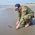 (VIDEO) Kolumbijski vojnici spasili 43 kornjače
