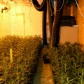 MUP: Otkrivena laboratorija za uzgoj marihuane, uhapšene tri osobe
