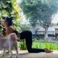 Započela jutarnji trening joge, a onda se pojavila ova zver Hit video izazvao salve smeha na društvenim mrežama!