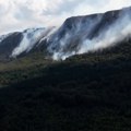 Bolesti, požari i neplanska gradnja – šume u Srbiji sve više nestaju, cenu plaćaju i zaštićene vrste