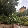 Samo se sručilo: Ogromno stablo palo na ulicu u centru Bajine Bašte