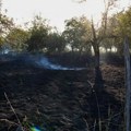 Požar u Miokovcima, povređena jedna osoba