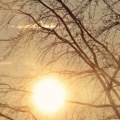 Nakon prohladnog jutra vraća se lepo vreme u Srbiji sunčano i toplo, do 30°C