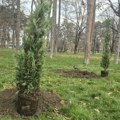 Veliki park obogaćen novim lišćarima i četinarima (FOTO)