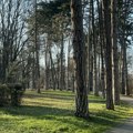Dva parka u Čačku nosiće imena po maloj Milici Rakić i glumici Sonji Savić Evo i gde se tačno nalaze