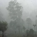 (Video) Nezapamćeno nevreme napravilo kolaps na graničnom prelazu! Popadala stabla, voda teče po putu, nema ni struje: Vozila…