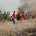Lokalizovan veliki požar u Kaoni: Izgorelo 120 hektara rastinja, sa vatrom se borilo i više od 50 meštana
