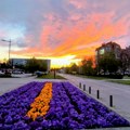 Rešite problem u svom kraju - "IT Subotica 2030" nudi do 120.000 dinara za komšijske akcije
