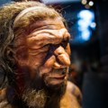 Nova studija: Neandertalci su se odvojili od „modernih ljudi“ pre 408.000 godina