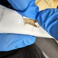 Na Kelebiji otkriveni paketi heroina skriveni u posudi za tečni sapun