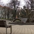 Kameni cvet u Sremskoj Mitrovici