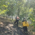 Požar iznad sela Rudinje na 200 hektara, i dalje, aktivan! Načelnik Miljan Pančić: Molimo vas ljudi, čuvajte prirodu. Visoke…