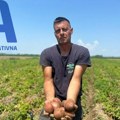 Mi ga prodamo za 30 dinara, a marketi na našoj muci zarađuju duplo više i gde je tu logika: Dejan iz Zablaća uzgaja krompir na…