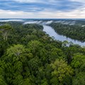 Naučnici otkrili stotine skrivenih zemljanih struktura ispod Amazona