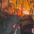 (Foto, video) Dramatične scene kod Knjaževca! Ogroman požar zahvatio područje sela Gabrovnica, vatrogasci se sa stihijom bore…
