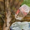 Ne bacajte plastične flaše: Ovaj jednostavan trik može da zaštiti mlade voćke tokom zime