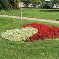 Zašto Pirot sve češće nazivaju Gradom cveća? U planu izrada ogromne šare pirotskog ćilima od cveća!