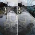 Муке врањских „Палестинаца”: Ништа без петиције