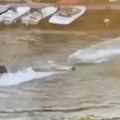 (Video) Horor na Tamišu: Skuterom prošao kroz grupu dece, četvoro povređeno, ljudi u nemoći zapomagali: "Prešao mu je preko…