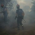 Lokalizovan požar kod Bitolja koji je stigao do kuća