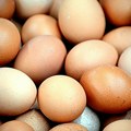 Jaja u Hrvatskoj ubedljivo najskuplja u Evropi