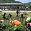 Zaposleni RBM-a obeležili 5. jun akcijom čišćenja i sadnje