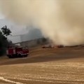 Veliki požar kod Kule: Gori strnjika, morali da intervenišu vatrogasci