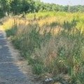 Nova biciklistička staza do Prigrevice ove jeseni Opštinska uprava Apatin zaključila ugovor sa izvođačem radova