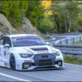 Vesnić osvojio srebro na evropskom šampionatu u brdskim auto-trkama
