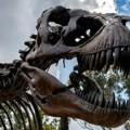 Naučnici došli do novog otkrića o poznatom dinosaurusu predatoru