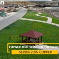 ”Srbija Ziđin Koper” upoznata sa nalogom amerikanaca Protivimo se prinudnom radu, sprovodimo proveru