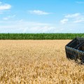 MK Group ulaže 350 miliona evra u poljoprivredu u naredne tri godine