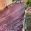 Crvena reka tekla ulicama: Pogledajte šta se krije iza poplave koju svet do sada nije video (foto, video)