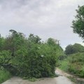 Blokiran saobraćaj kod Užica! Drvo palo nasred puta