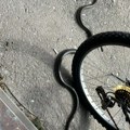 Ogromna zmija preplašila Beograđane: Žena je zgazila ispred frizerskog salona, a evo gde se posle sakrila