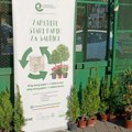 Zamena starog papira za sadnice i tokom jesenjih Cvetnih pijaca