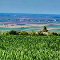 „Dan pešačenja“ ovog vikenda: Fruška gora
