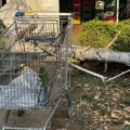 Breza pala na radnicu „Zlatnog traga“ usred oluje u Leskovcu: „Mogla je glavu da joj slomi“