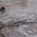 Potop i u crnoj gori: Pljusak potpuno paralisao građane, automobili se jedva probijaju kroz reke na putevima