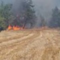 Veliki Požar izbio kod Leskovca: Goreo voćnjak, košnice, kukuruz, meštani zajedno s vatrogascima radili na gašenju (video)