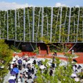 Expo Osaka: Srpski paviljon "Plutajuća šuma" obišlo gotovo 900.000 ljudi