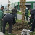 „Vrati dah prirodi“: Kragujevac gradi budućnost uz više od 2000 stabala do kraja godine