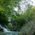 Scena snimljena na Plitvičkim jezerima oduševila mnoge: Životinja snimljena u svom prirodnom okruženju, uhvaćena u prolećnoj…