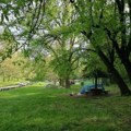 Noćni trejl na Košutnjaku 22. avgusta: Trčanje pod zvezdama i zabava za najmlađe pred početak škole