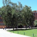 Brucoši, požurite do 15. septembra otvoren konkurs za domove u Novom Sadu, Somboru i Zrenjaninu. Evo ko može da se prijavi.