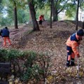 JKP „Mediana“ nastavlja jesenje uređenje Niša: Sadnja lala i novih sadnica, čišćenje parkova i ulica