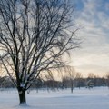 Horoskop za 29. januar: Jarac zabrinut, Bik traži savet psihologa, a jedan znak doživeće ljubavni krah